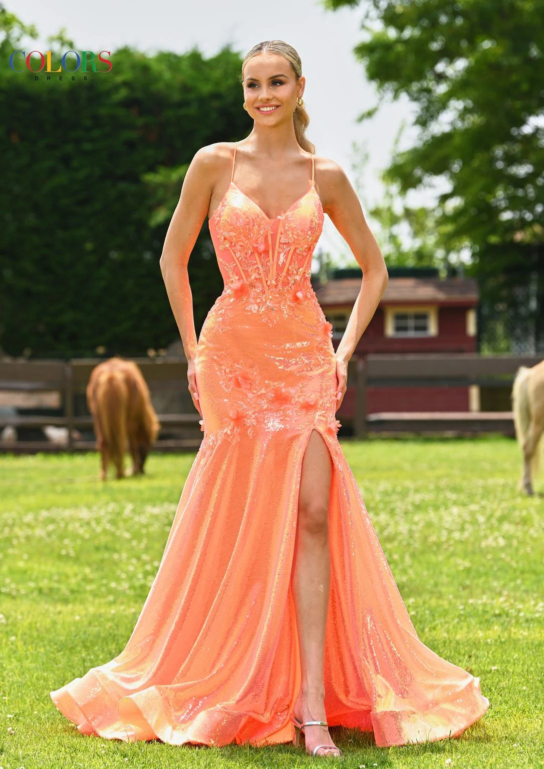 Long Prom Dresses 2026 Floor Length Prom Dresses Gowns