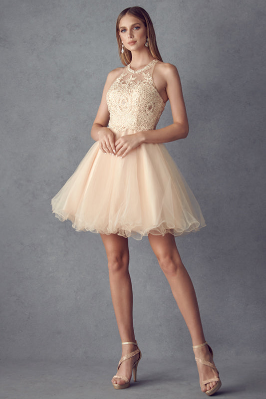 Homecoming Dresses Short Homecoming Fitted Cockail Beaded Dress Champagne