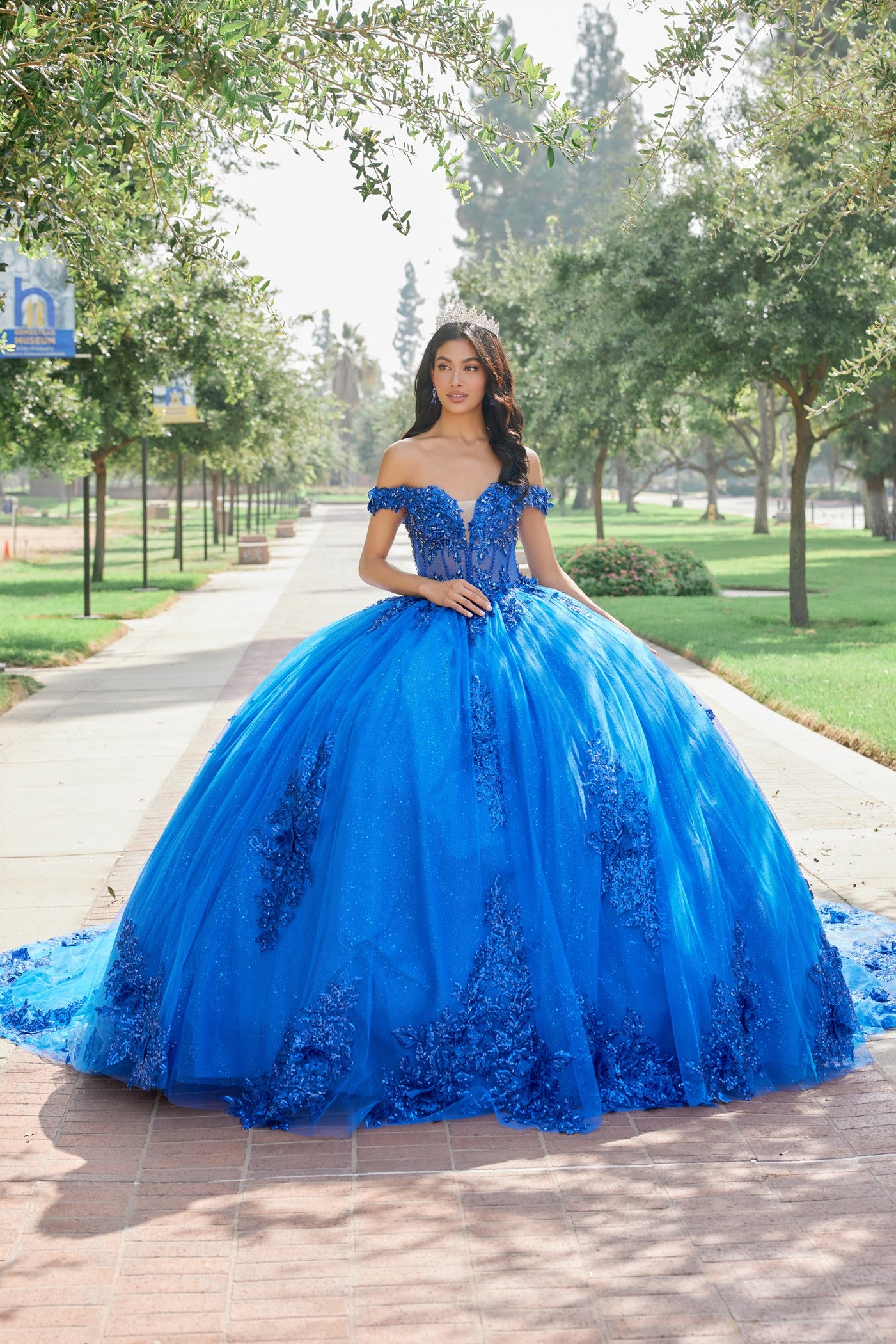 Quinceniera Dresses Long Lace Glitter Quinceniera Dress Juliet JT1505J Royal Blue