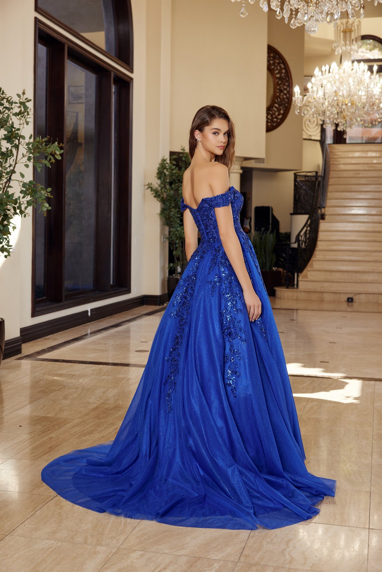 Prom Dresses Long Formal Lace Applique Corset Prom Dress Royal Blue