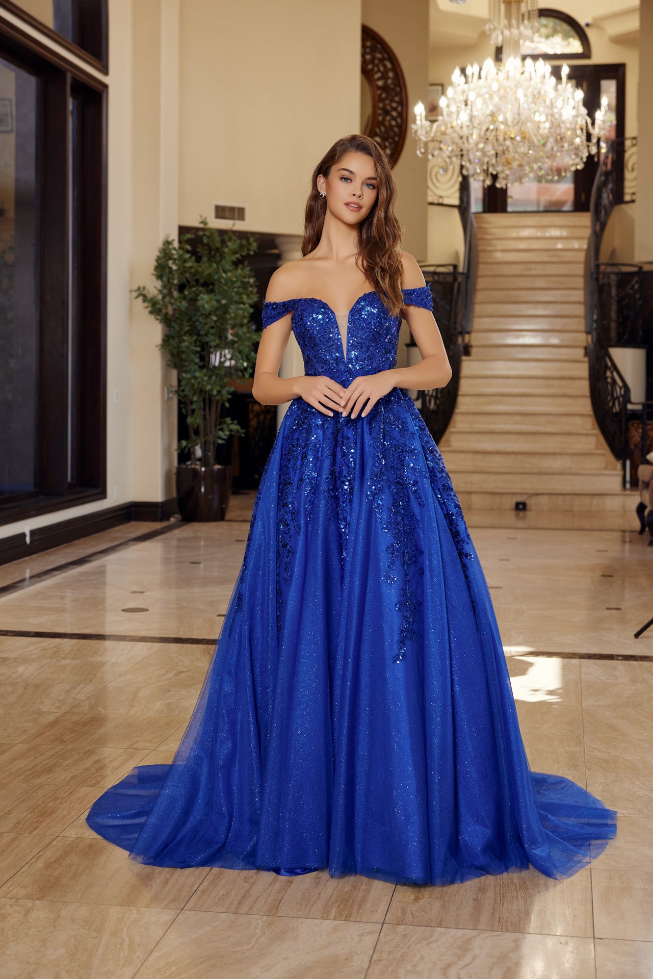 Prom Dresses Long Formal Lace Applique Corset Prom Dress Royal Blue