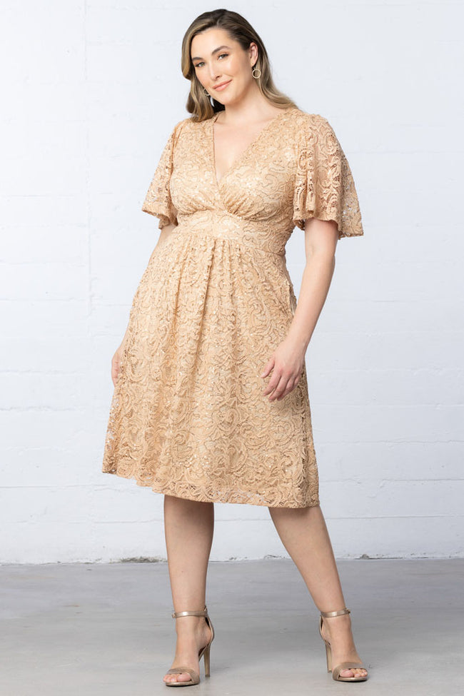 Plus Size Dresses A Line Plus Size Lace Short Cocktail Dress Champagne