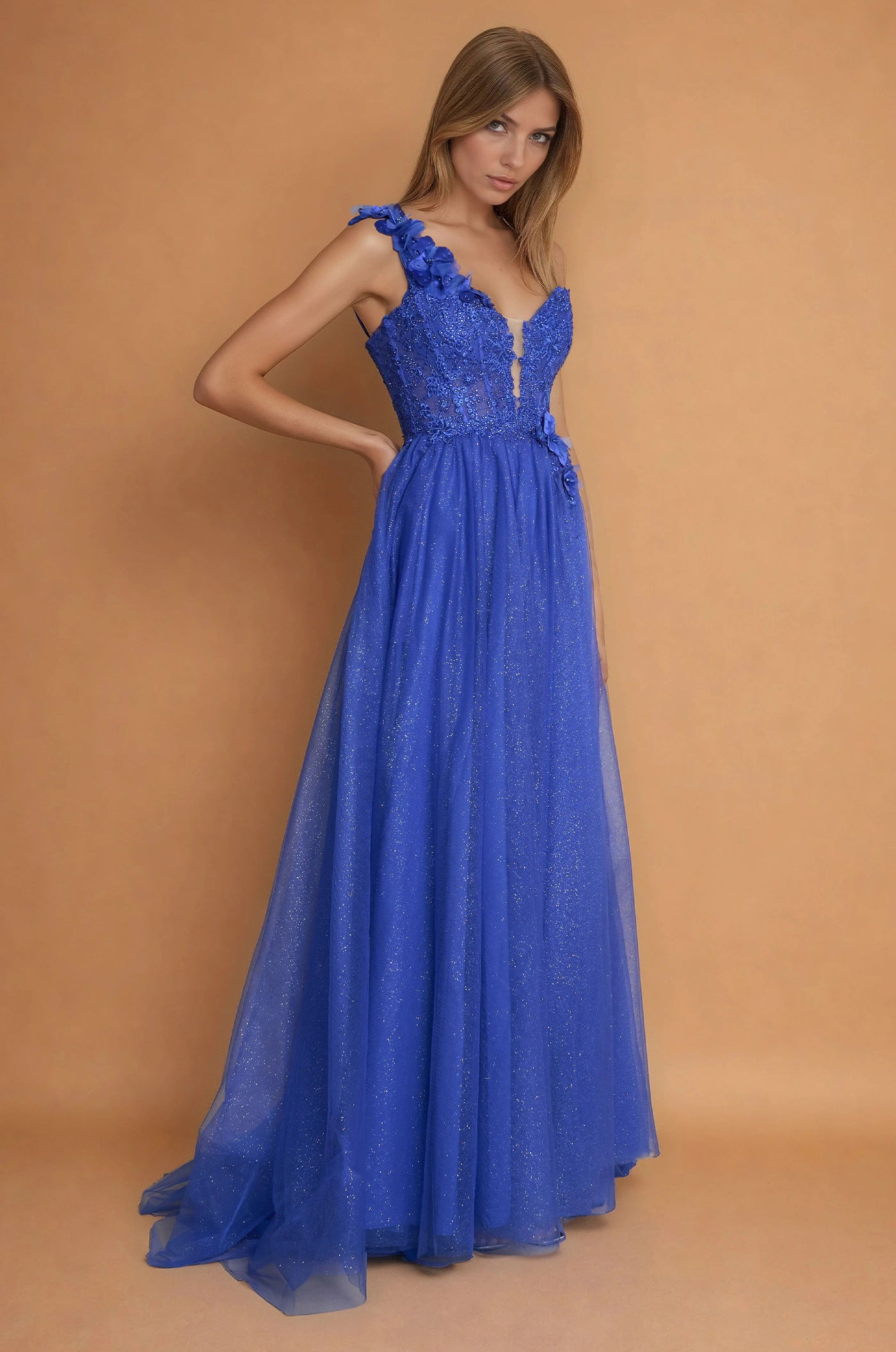 Prom Dresses One Shoulder Lace Prom Ball Gown Royal Blue