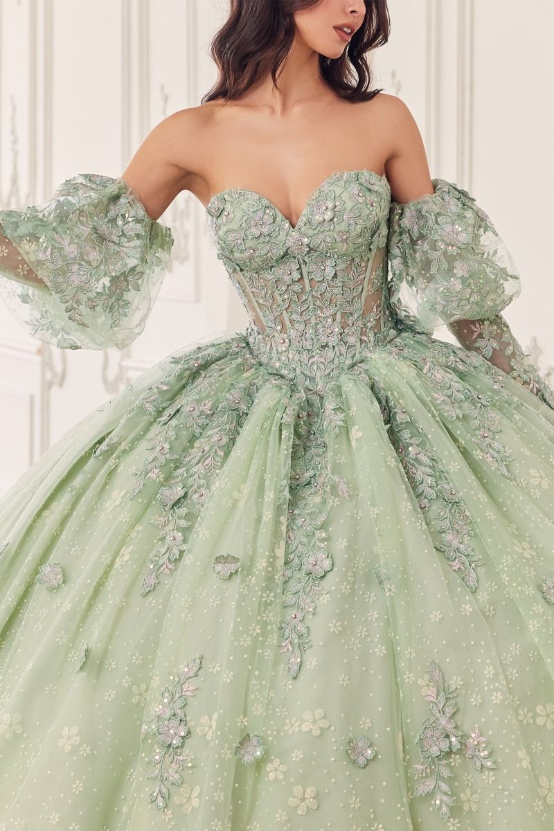 Quinceniera Dresses Lace Applique Quinceanera Long Ball Gown Sage