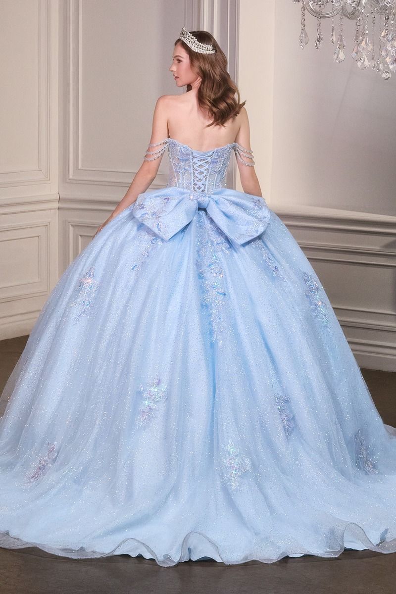 Quinceniera Dress Long Corset Floral Ball Gown Quinceanera Dress LT Blue