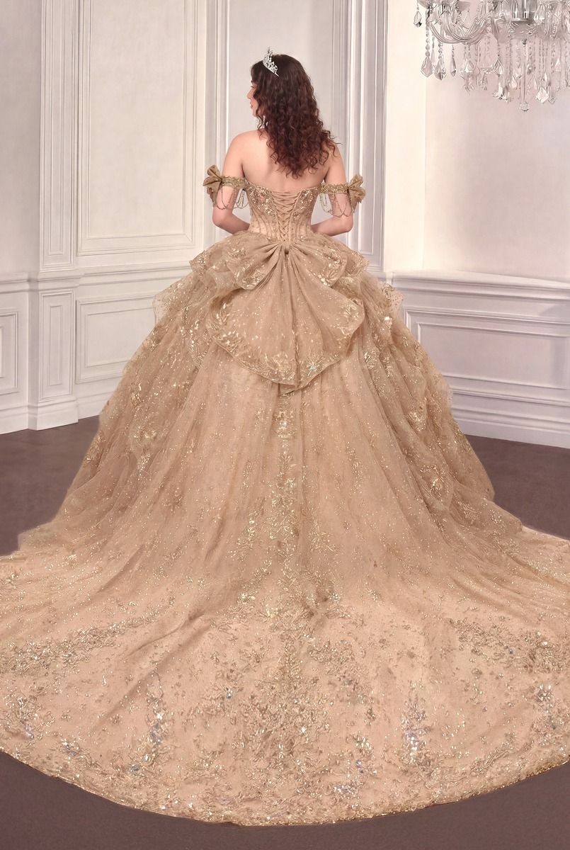 Off-the-Shoulder Floor-Length with Train Tulle Formal Ball Gown LaDivine 15743