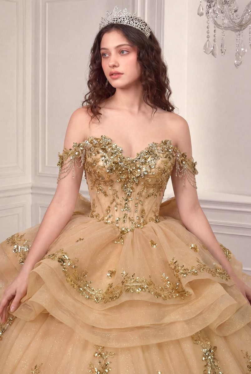 Off-the-Shoulder Floor-Length Tulle Occasion Ball Gown LaDivine 15746