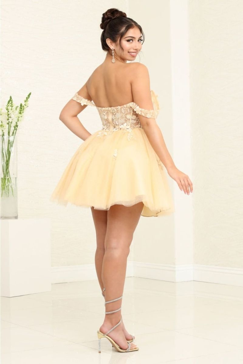Off-the-Shoulder Mini/Short Tulle Prom A-Line May Queen 2091