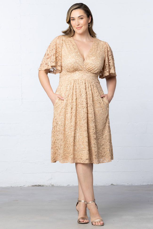 Plus Size Dresses A Line Plus Size Lace Short Cocktail Dress Champagne
