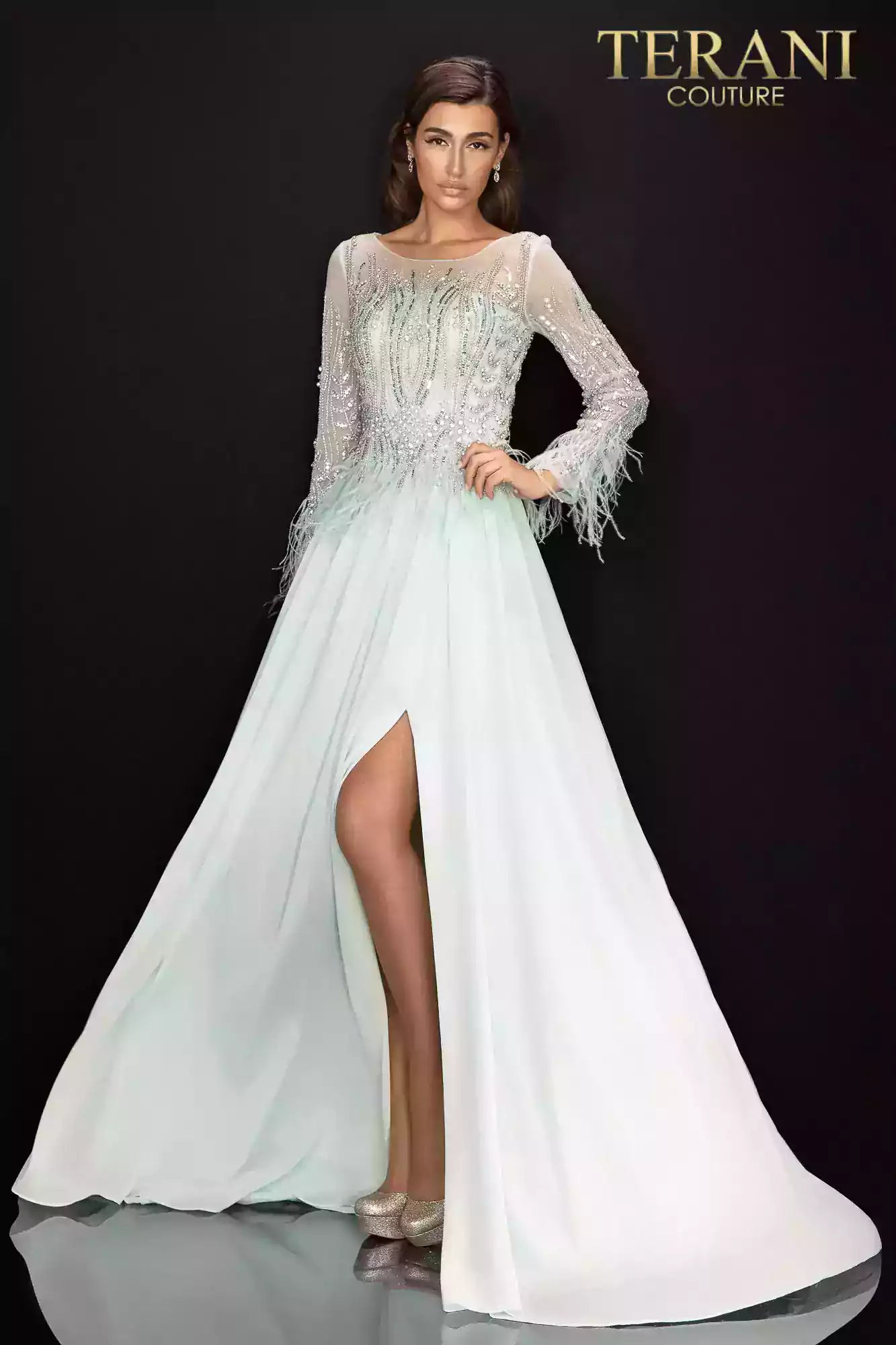 Terani Couture Long Sleeve Formal Gown 2011M2163 - The Dress Outlet