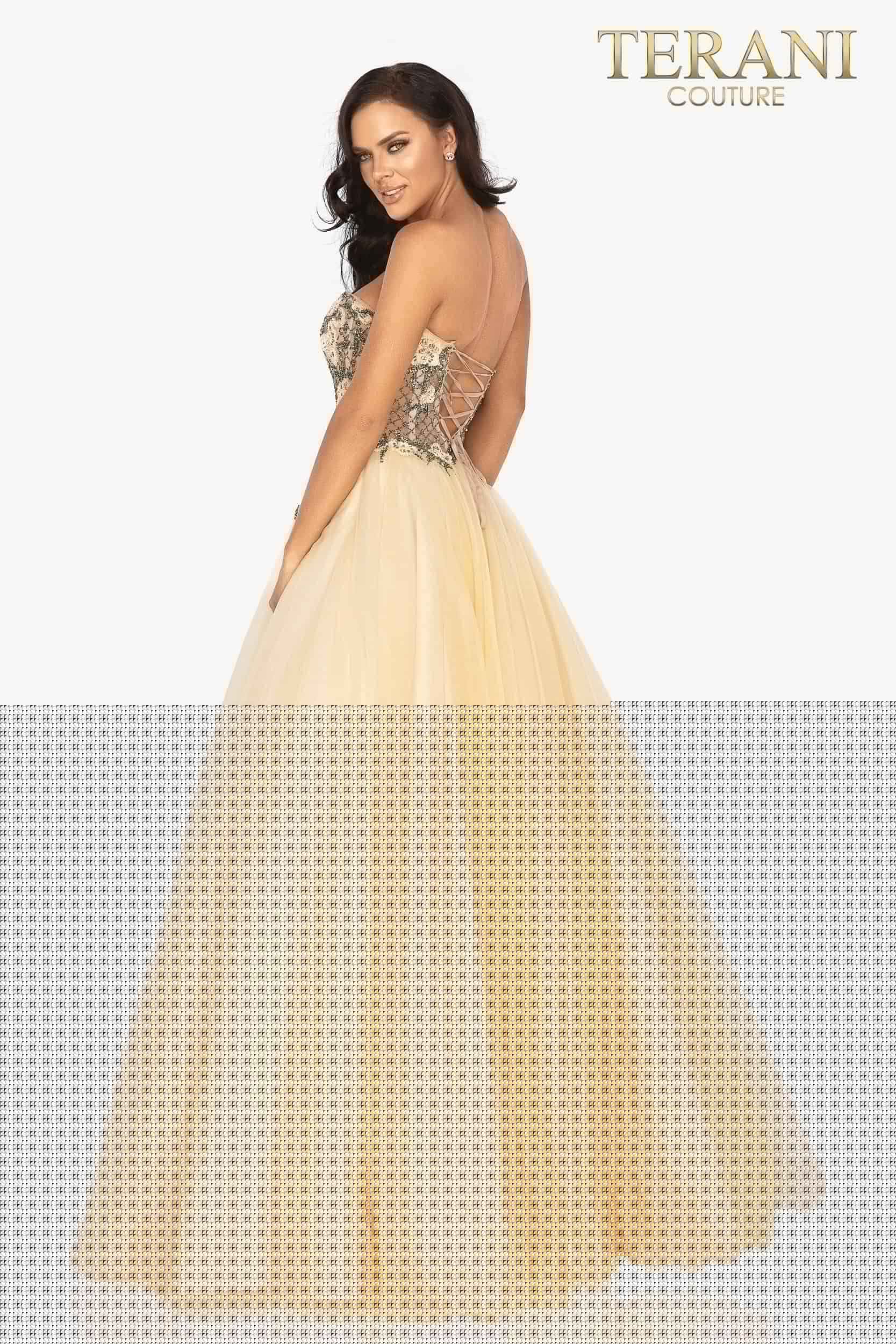 Terani Couture Prom Long Beaded Ball Gown 2011P1149 - The Dress Outlet