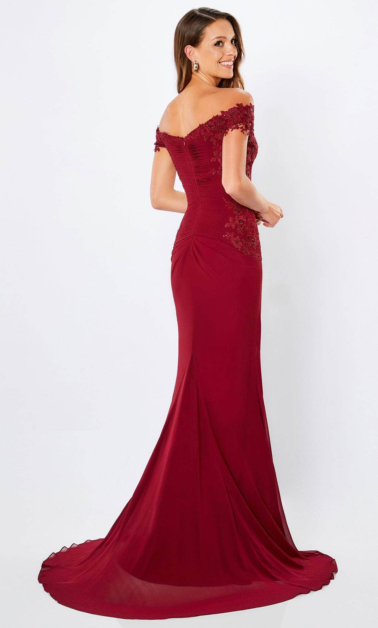 Plus Size Dresses Long Formal Lace Applique Plus Size Dress Bordeaux