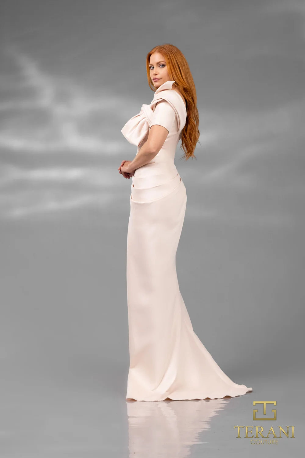 Formal Dresses Fitted Long Formal Evening Dress Light Blush