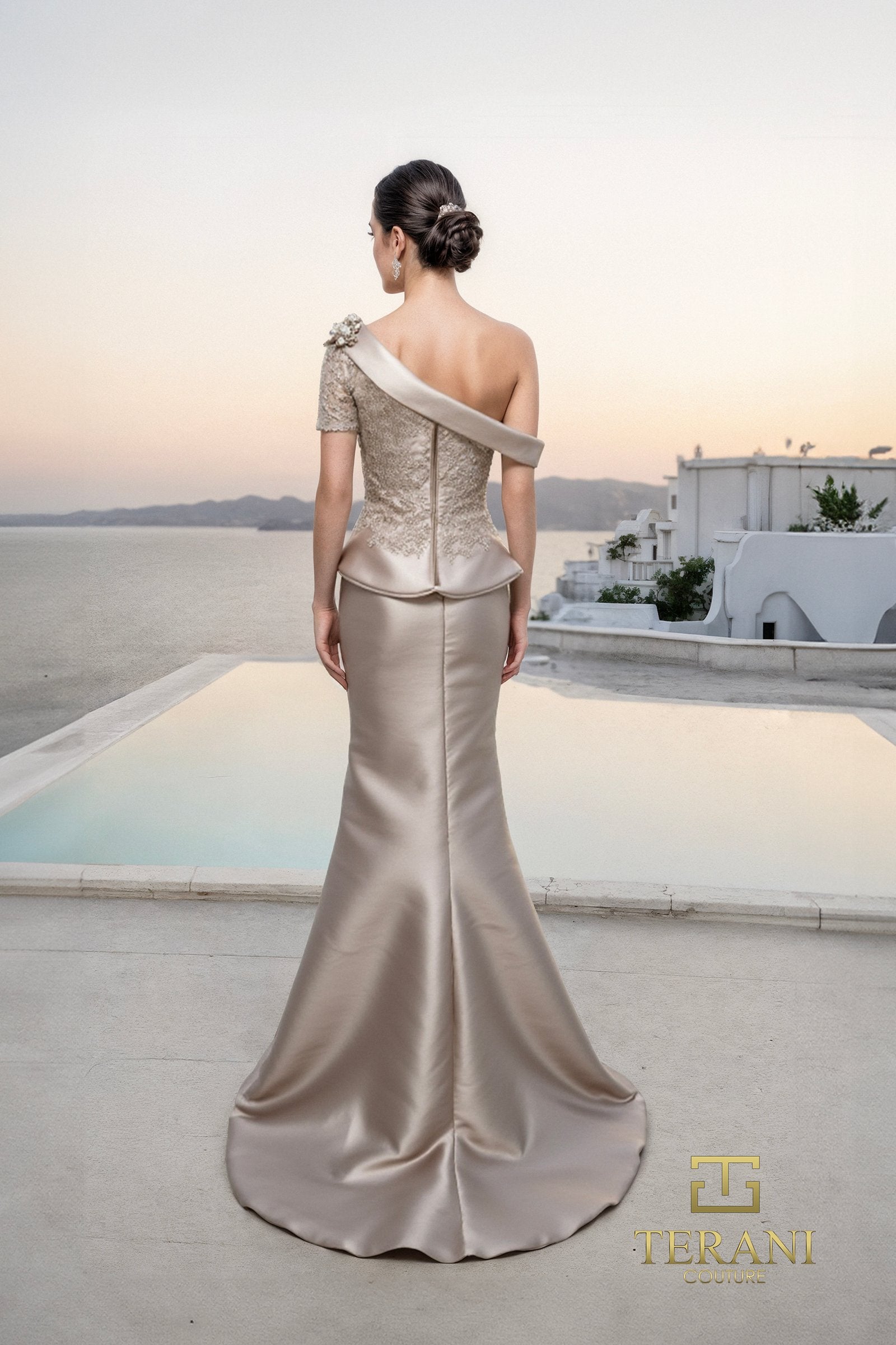 Formal Dresses Long Formal Lace Evening Dress Mocha-Mikado-261M6408-Lace