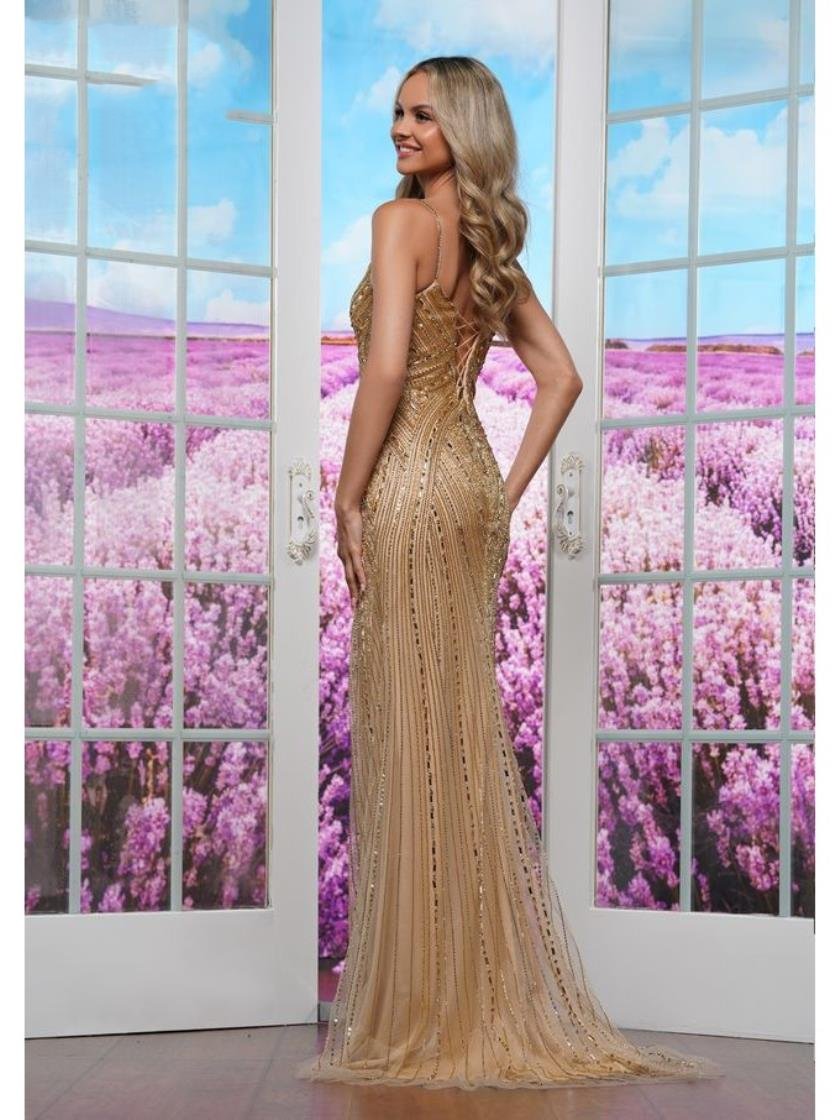 Prom Dresses Evening Formal Fitted Long Prom Dress Gold