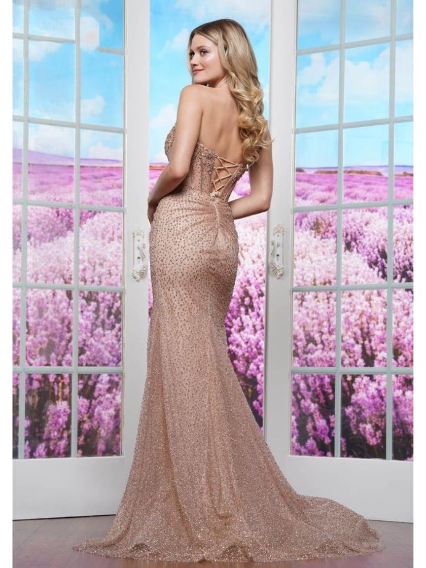 Prom Dresses Formal Fitted Long Evening Prom Dress Rose Gold