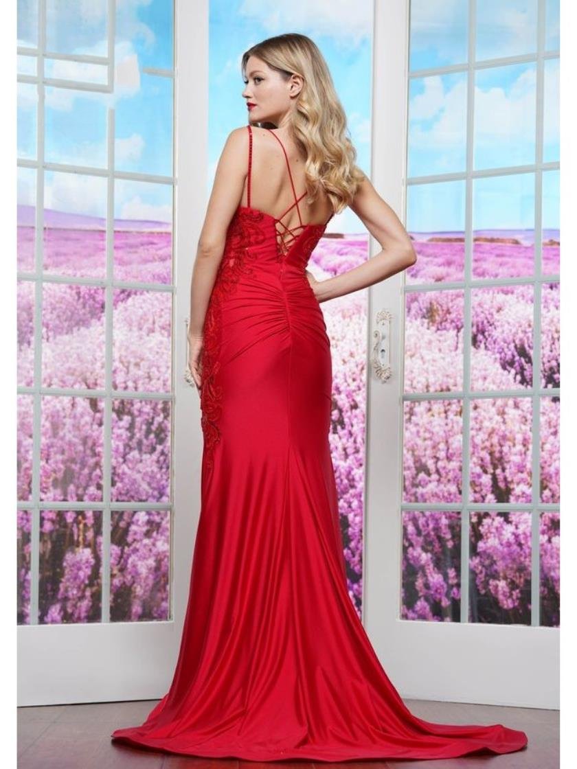Prom Dresses Fitted Formal Long Evening Prom Dress Red