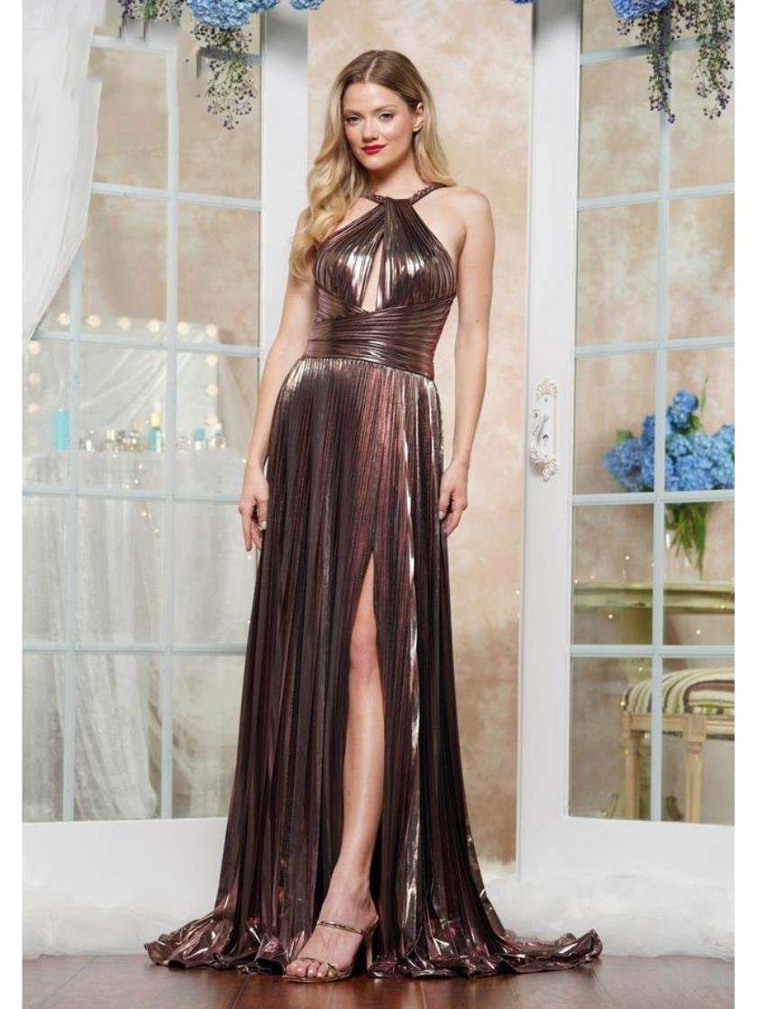 Prom Dresses Formal Long Pleated Prom Dress Rose