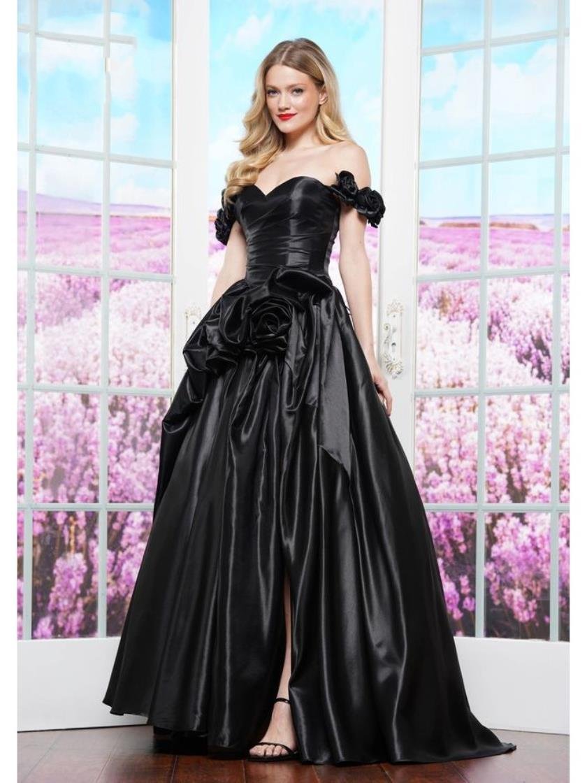 Prom Dresses Long Ball Gown Formal Evening Prom Dress Black