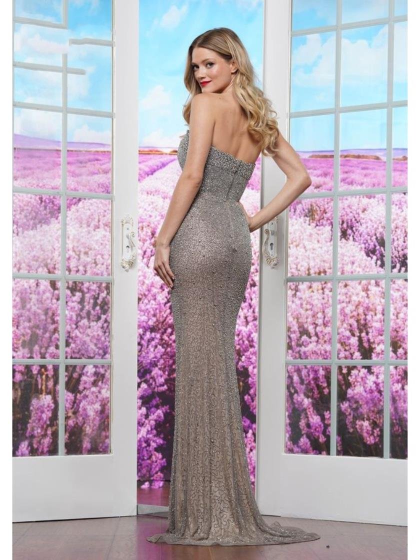Prom Dresses Fitted Flare Long Formal Prom Dress Platinum