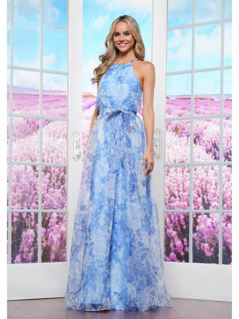 Prom Dresses Long Print Organza Formal Prom Dress Blue