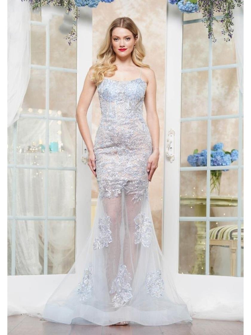 Prom Dresses Long Formal Fitted Applique Prom Dress Blue