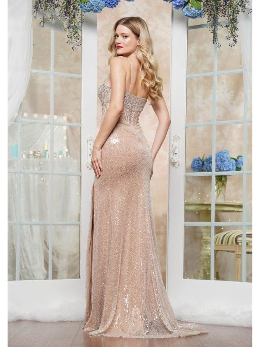 Prom Dresses Long Formal Fitted Evening Prom Dress Nude