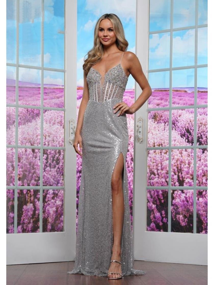 Prom Dresses Long Formal Fitted Evening Prom Dress Silver