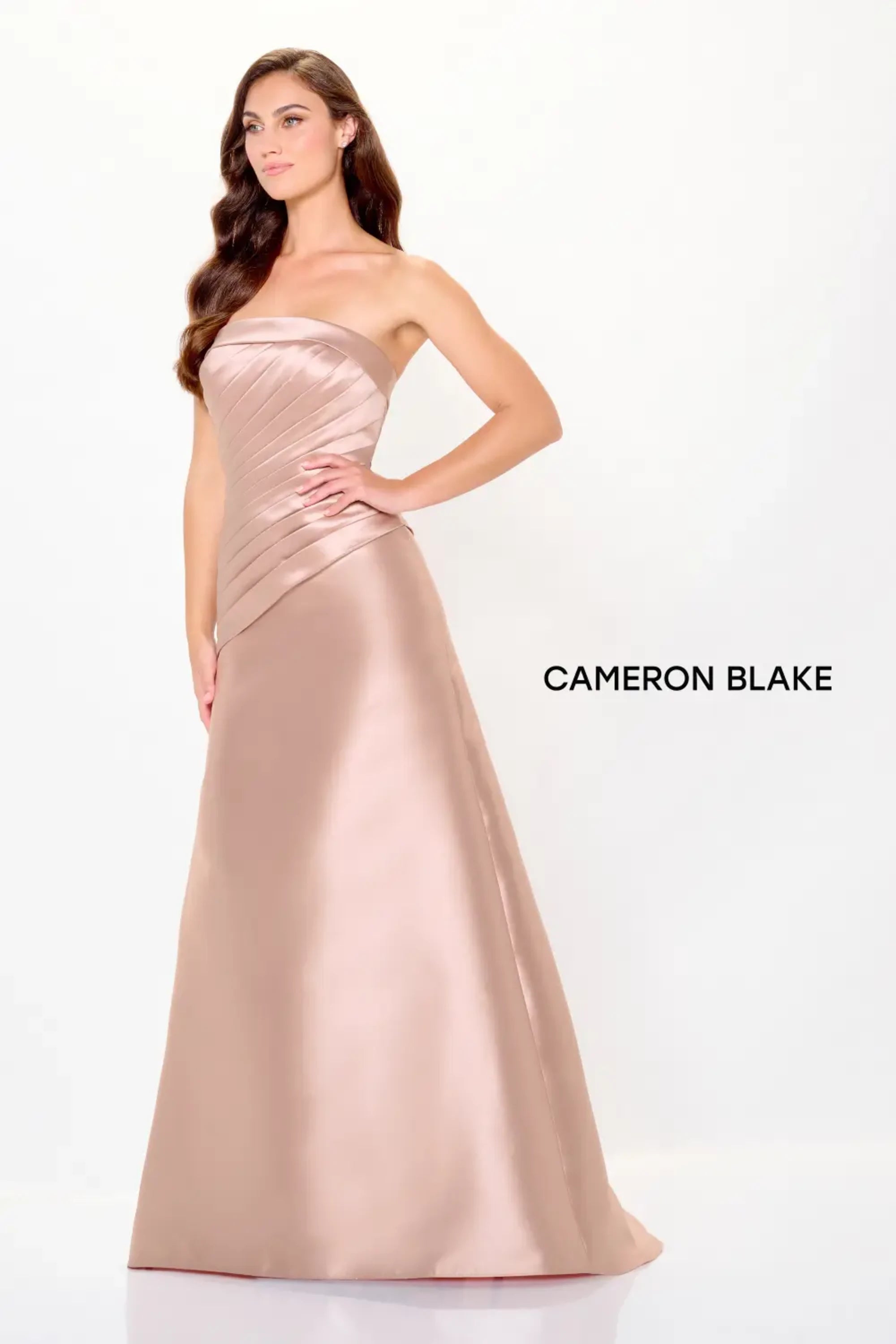 Formal Dresses Long Pleated Formal Evening A Line Dress Blush