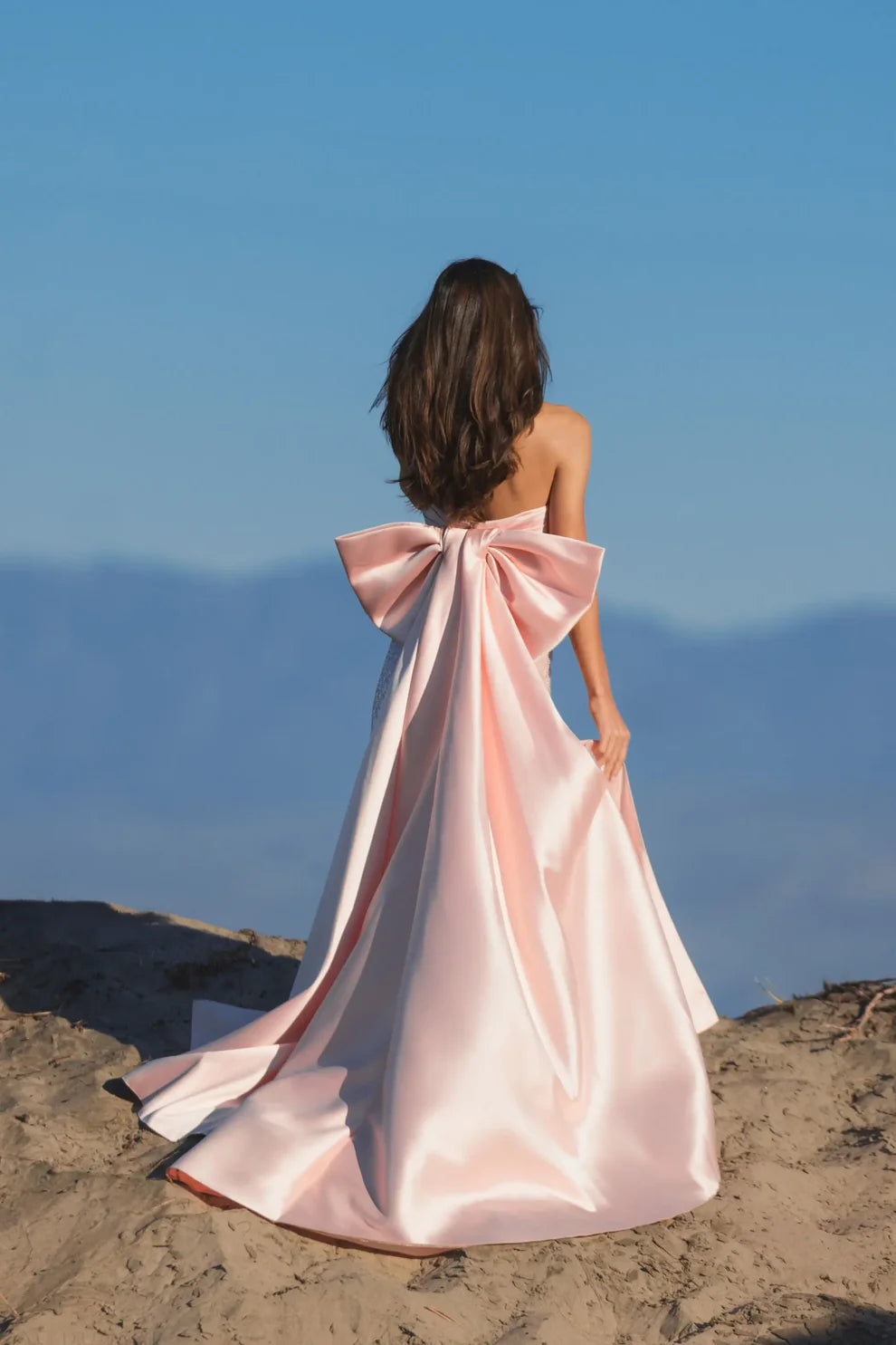 Formal Dresses Long Fitted Formal Evening Prom Dress Blush