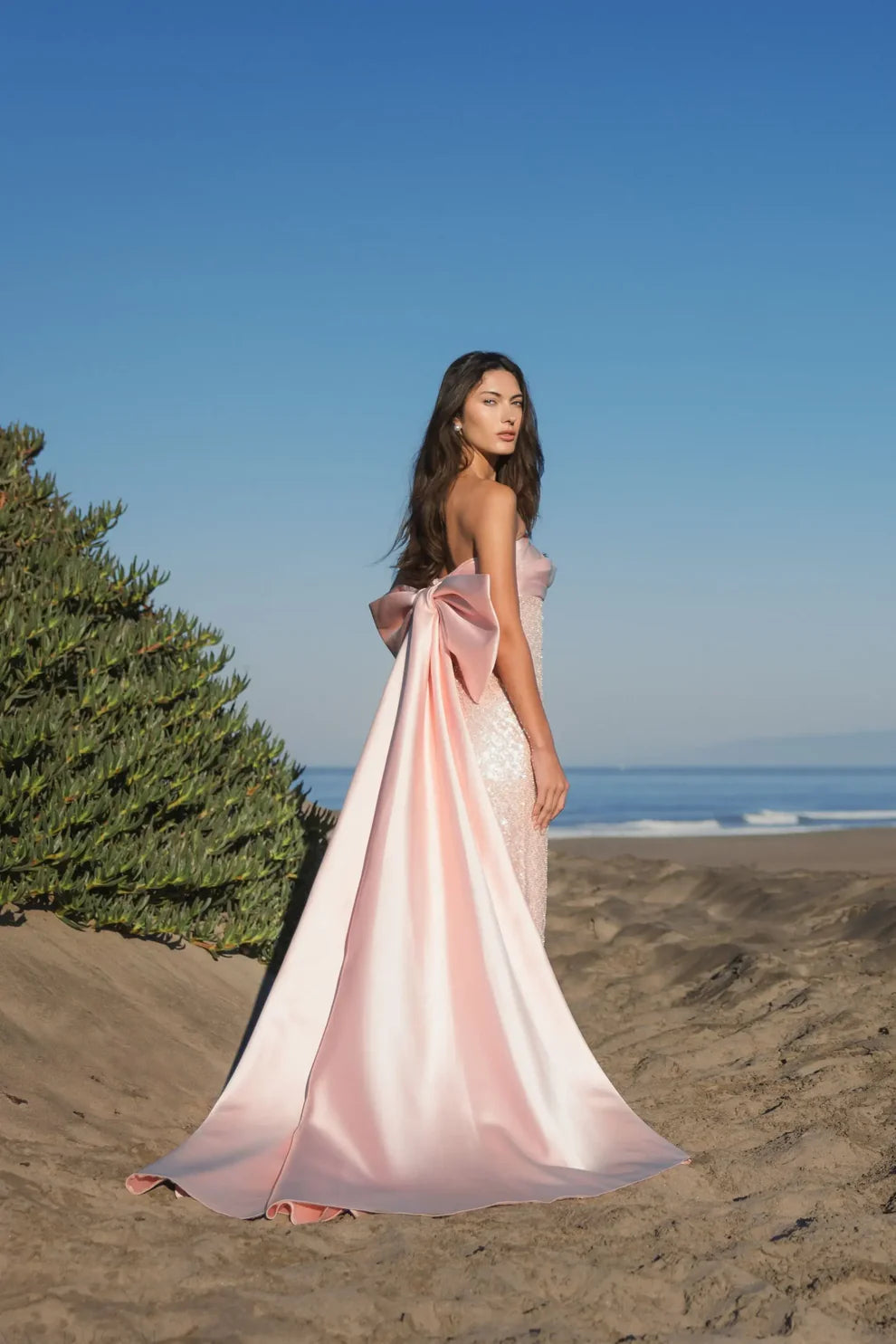 Formal Dresses Long Fitted Formal Evening Prom Dress Blush