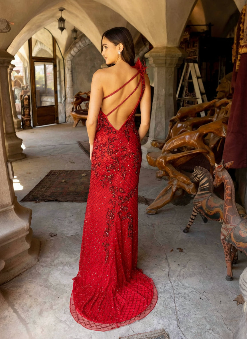 Prom Dresses Long Prom Feather on Shoulders Asymmetrical Dress Red