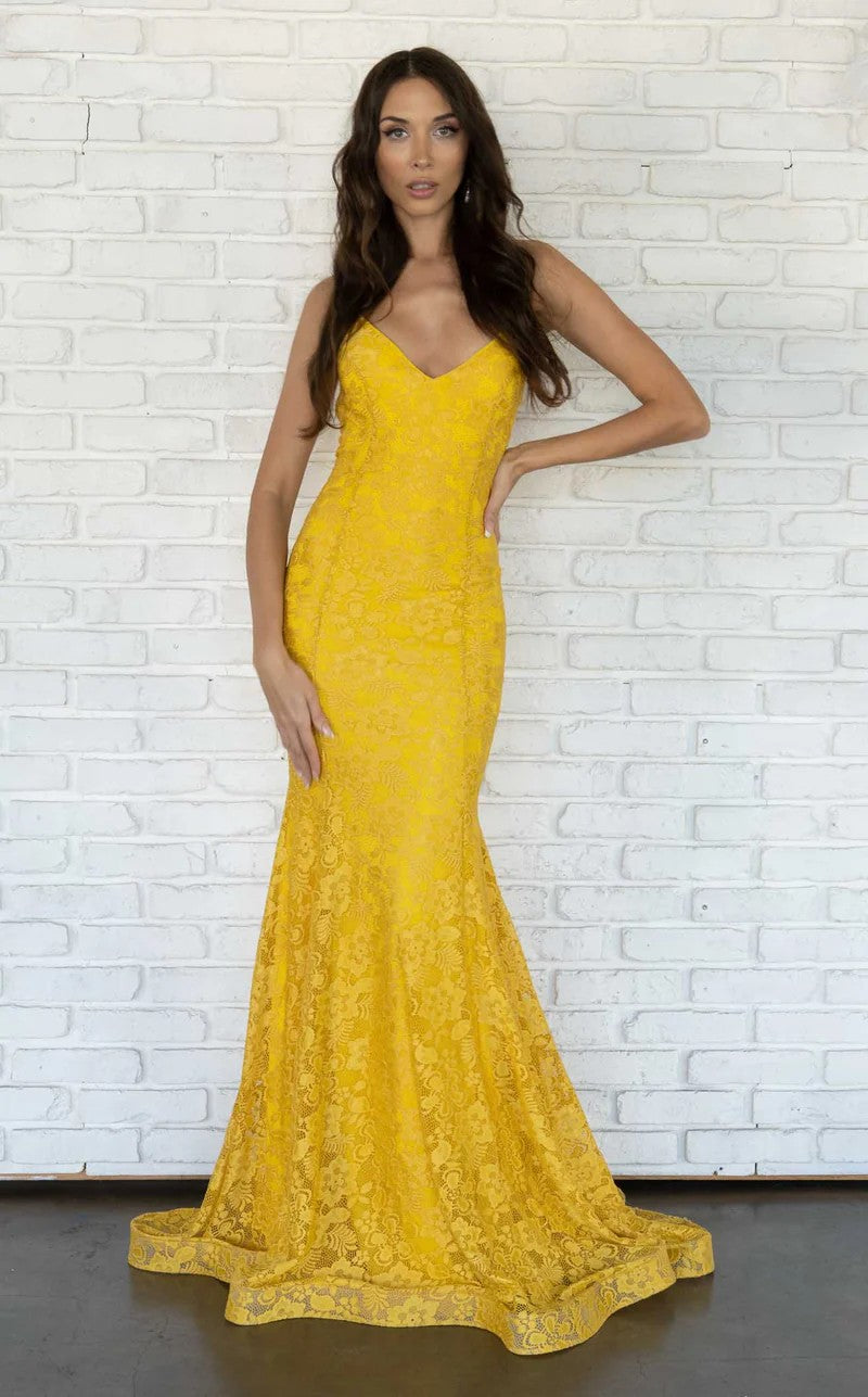 Prom Dresses Lace Formal Fitted Long Prom Dress Light Yellow