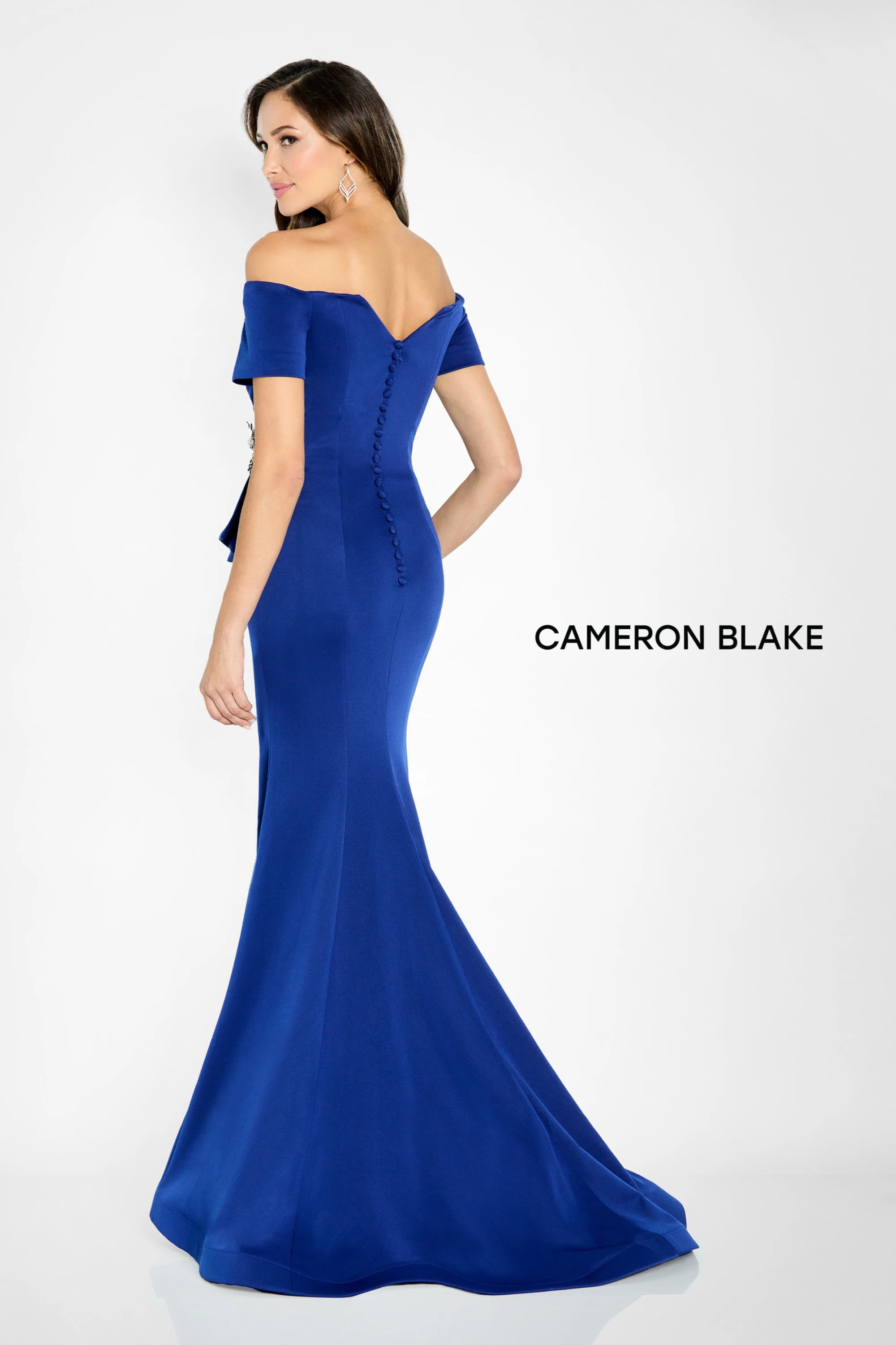 Formal Dresses Formal Long Pleated Evening Dress Sapphire