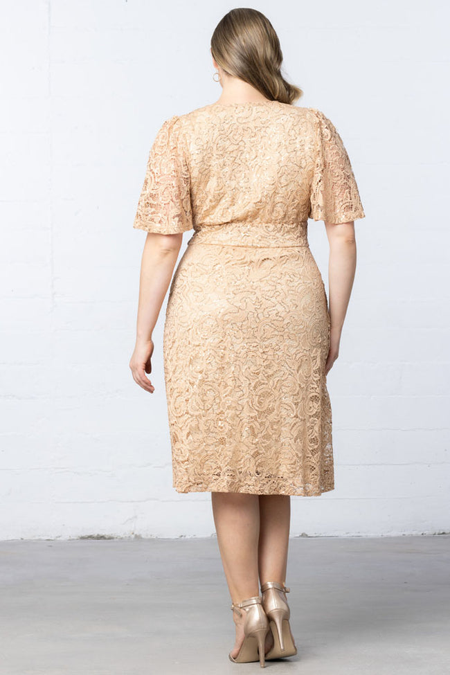 Plus Size Dresses A Line Plus Size Lace Short Cocktail Dress Champagne