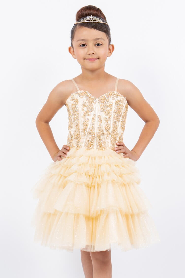 Champagne Sweetheart Knee Length Glitter Tulle Party Corset Dress with Tiered Skirt Cinderella Couture 5133