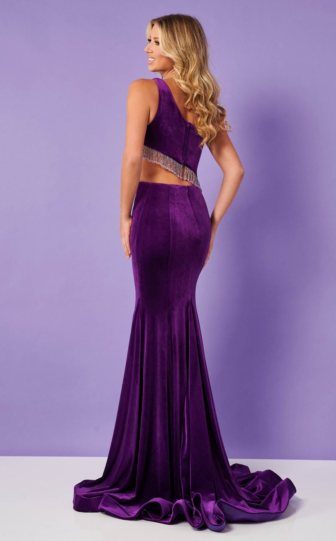 Prom Dresses Long Formal Mermaid Beaded Velvet Prom Dress Rachel Allan 70329 Purple