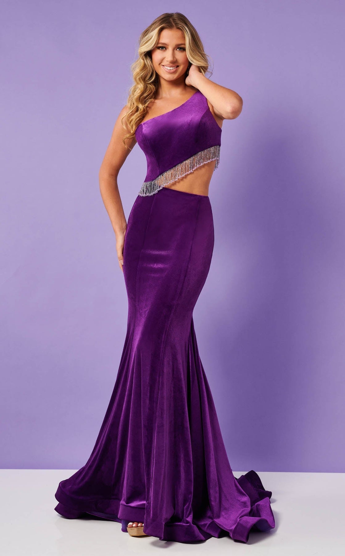 Prom Dresses Long Formal Mermaid Beaded Velvet Prom Dress Rachel Allan 70329 Purple