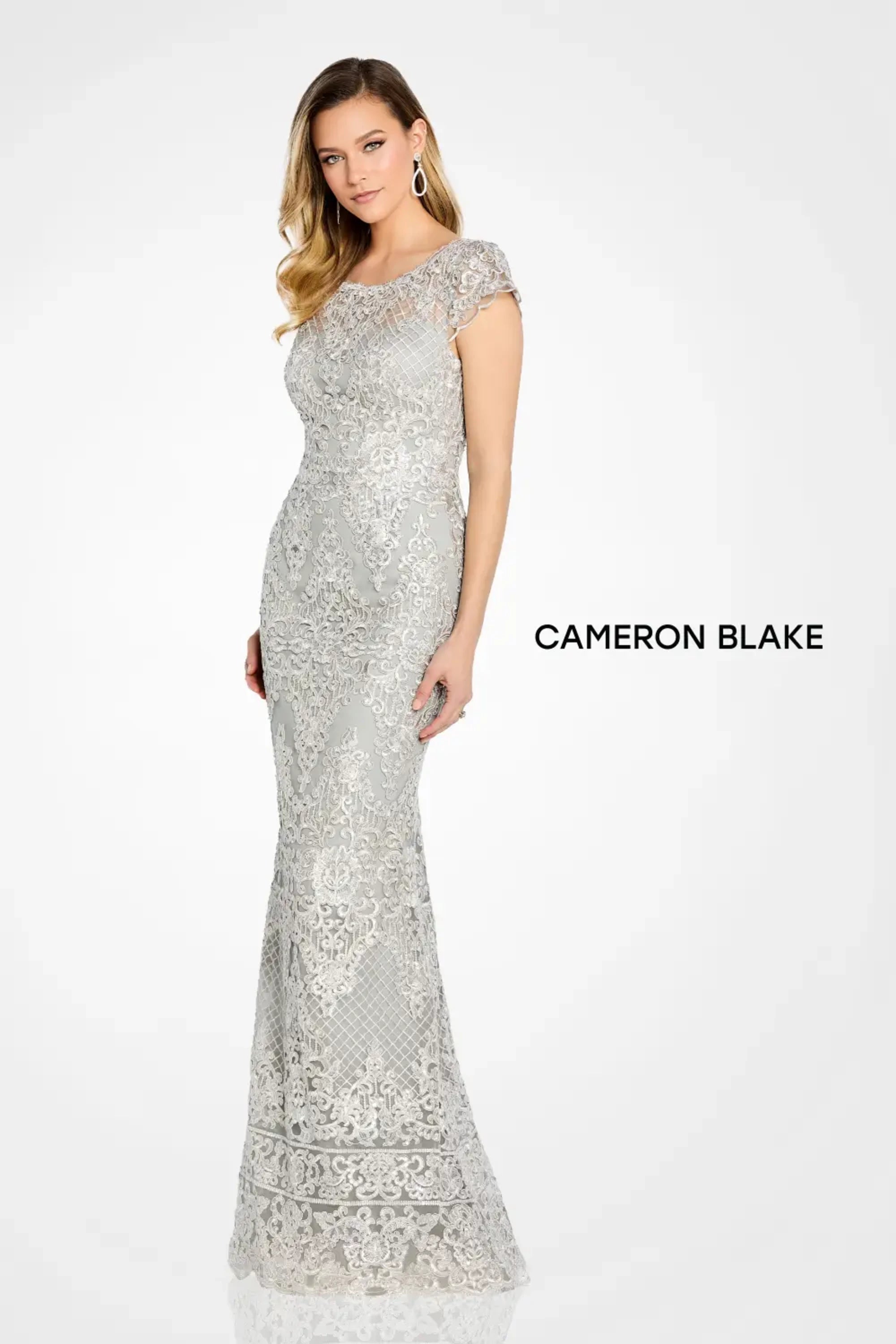 Formal DressesA Line Long Formal Lace Evening Dress Silver