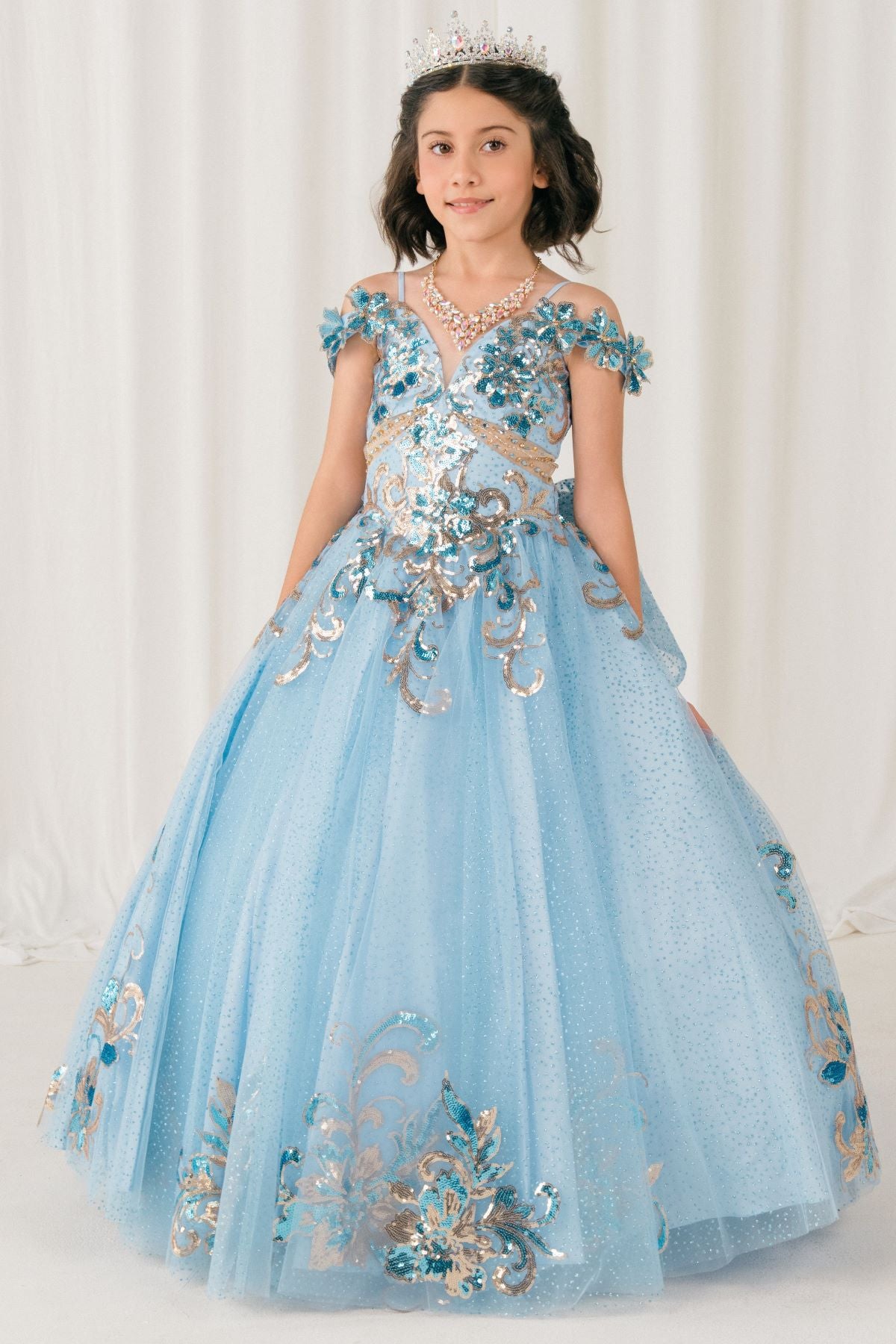 Flower Girl Dresses Floral Applique Lace Ball Gown Flower Girl Dress Blue