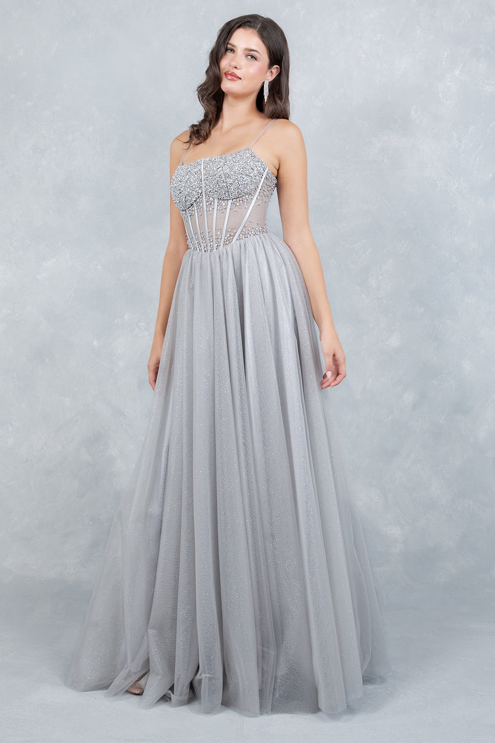 Prom Dresses Long Formal Corset Ball Gown Prom Dress Cinderella Couture 8459J Silver