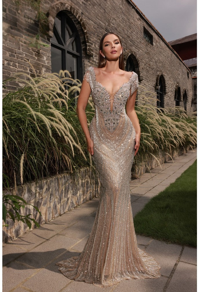 Formal Dresses Fitted Formal Evening Long Dress Silver Nude