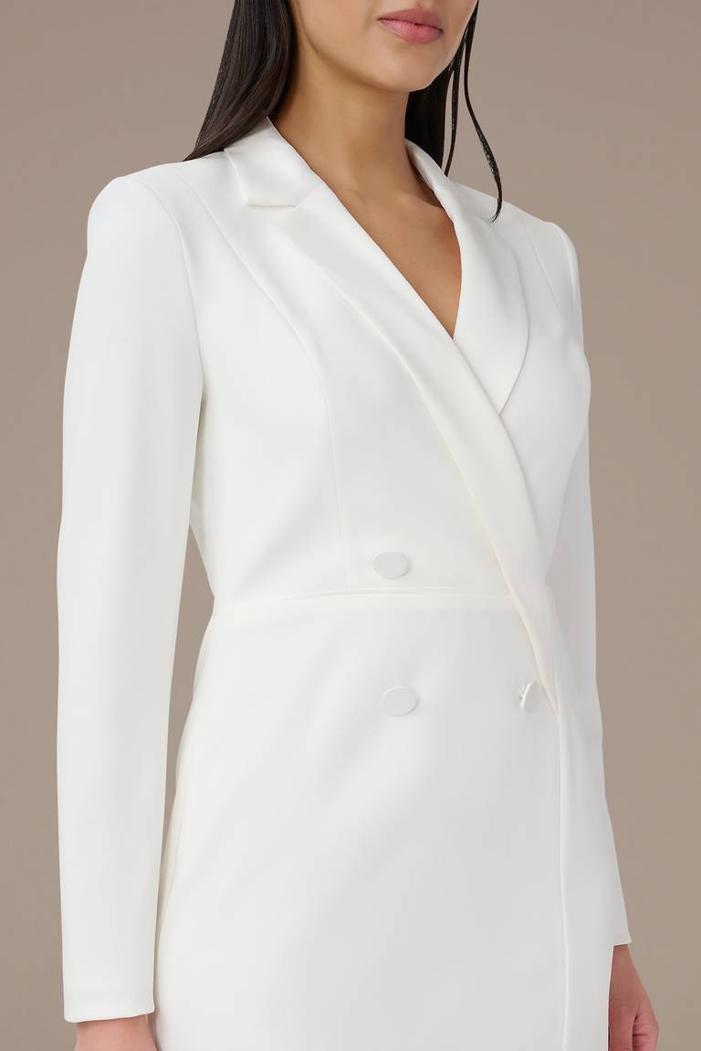 Formal Occasion Dress Adrianna Papell AP1D104876