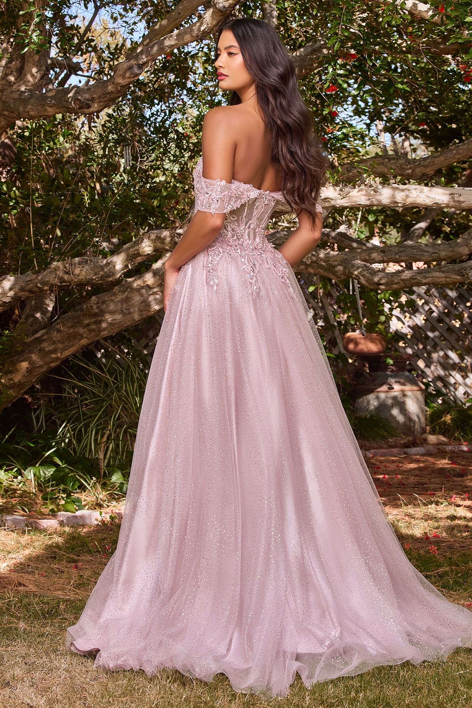 Prom Dresses Off Shoulder Corset Long Ball Gown Prom Dress Mauve