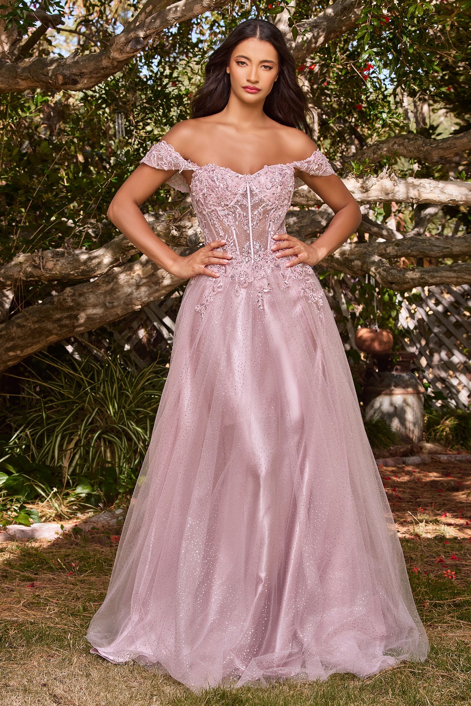 Prom Dresses Off Shoulder Corset Long Ball Gown Prom Dress Mauve