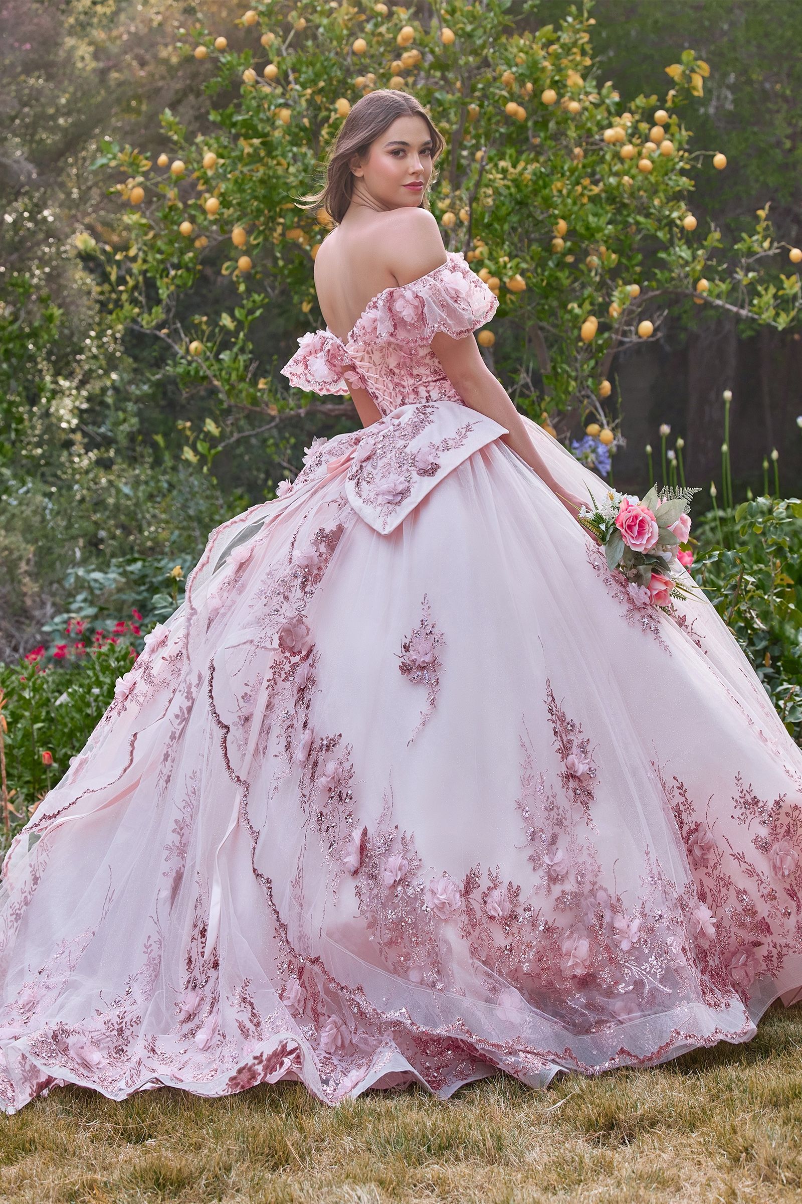 Quinceanera Dresses Long Ball Gown Quinceanera Dresses Blush