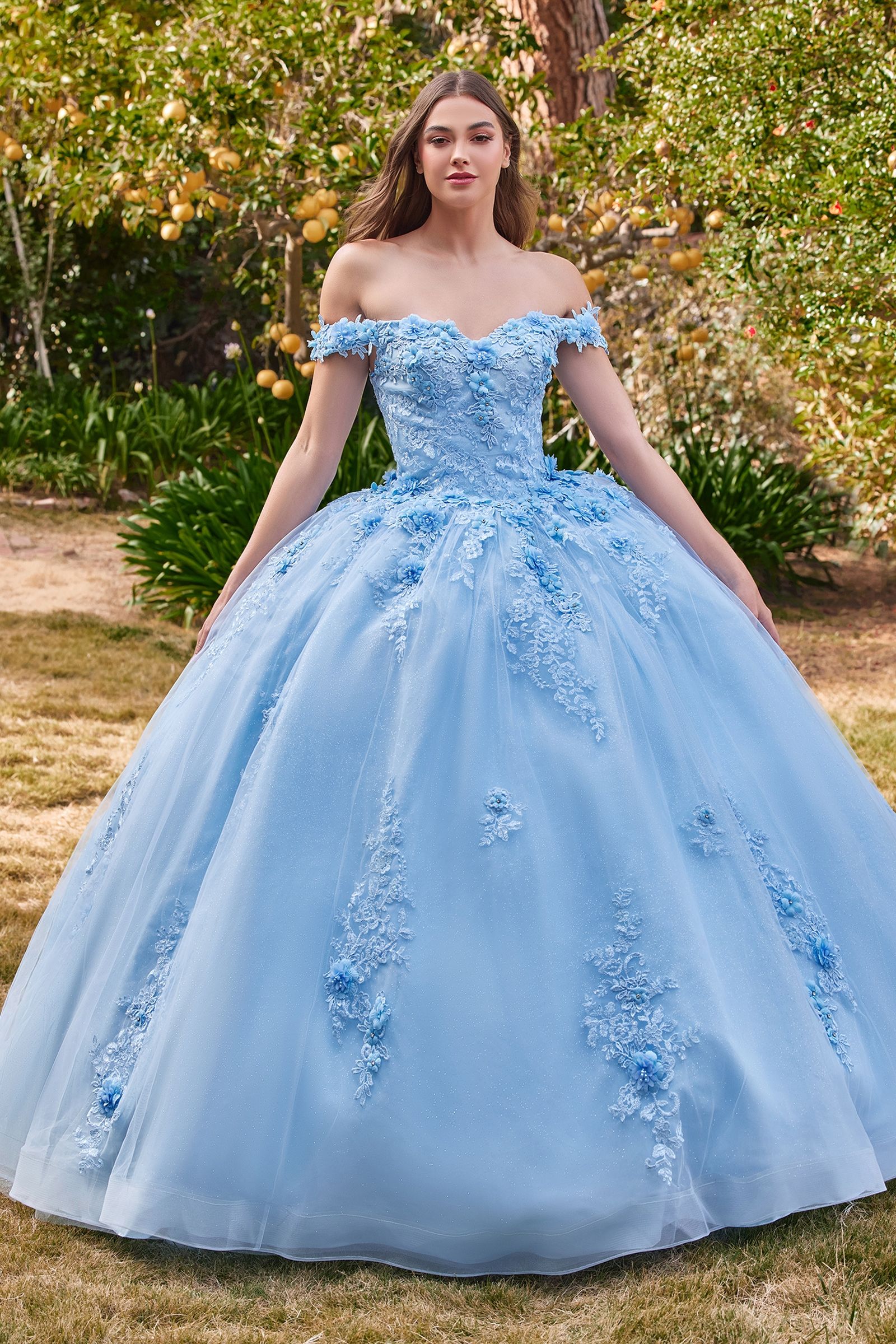 Quinceniera Dresses Long Floral Ball Gown Glitter Quinceanera Dress LT Blue