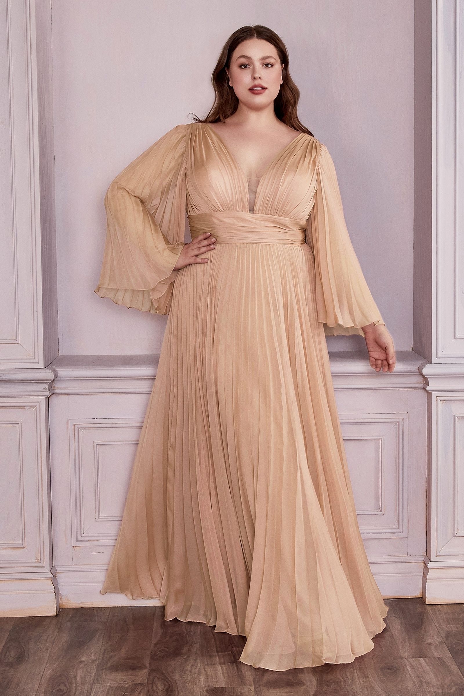 Plus Size Dresses Long Sleeve Formal A Line Plus Size Dress Champagne