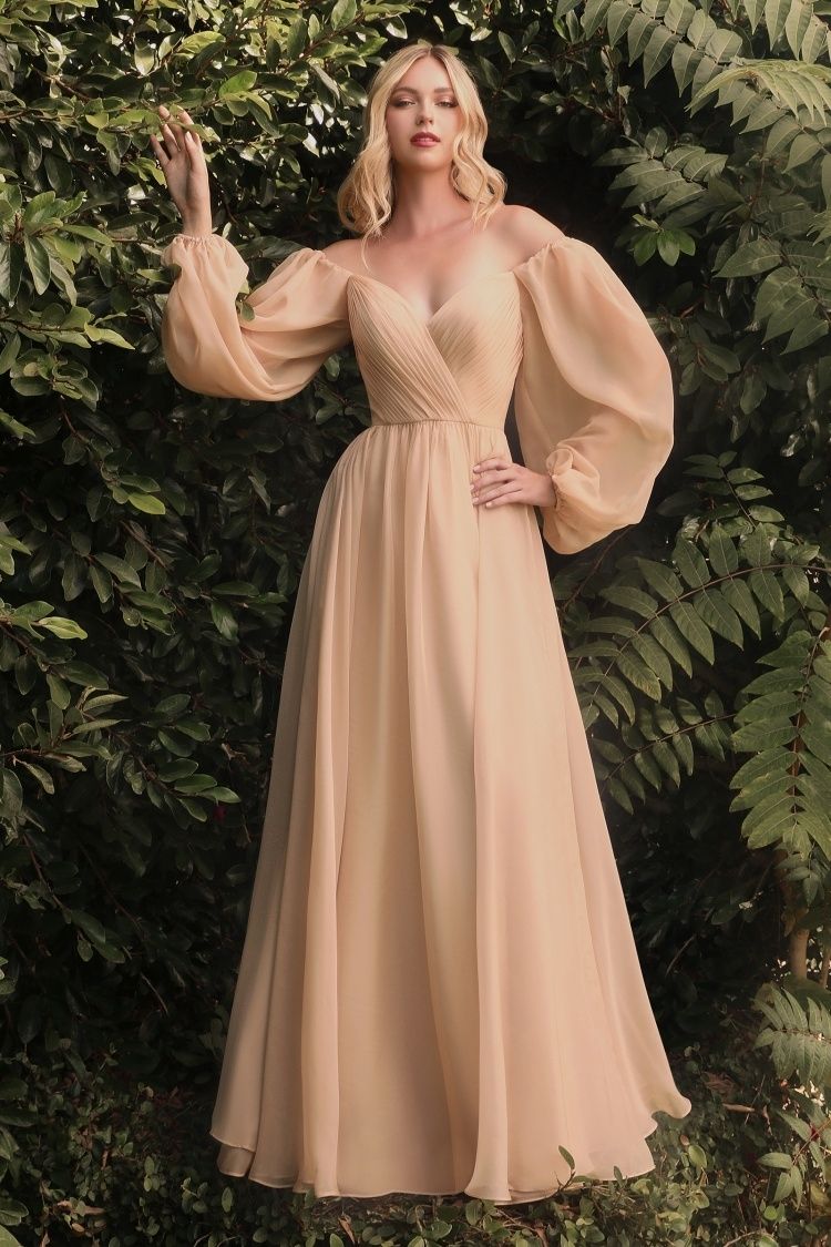 Formal Dresses Off Shoulder Long Sleeve A Line Formal Dress Champagne