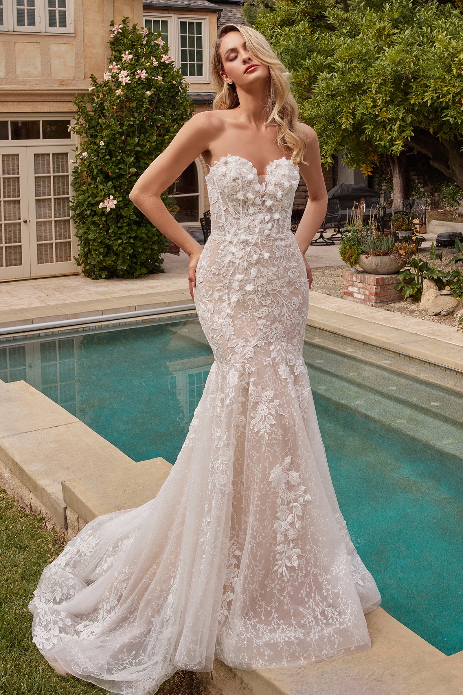 Wedding Dresses Long Mermaid Lace Wedding Dress Off White Nude